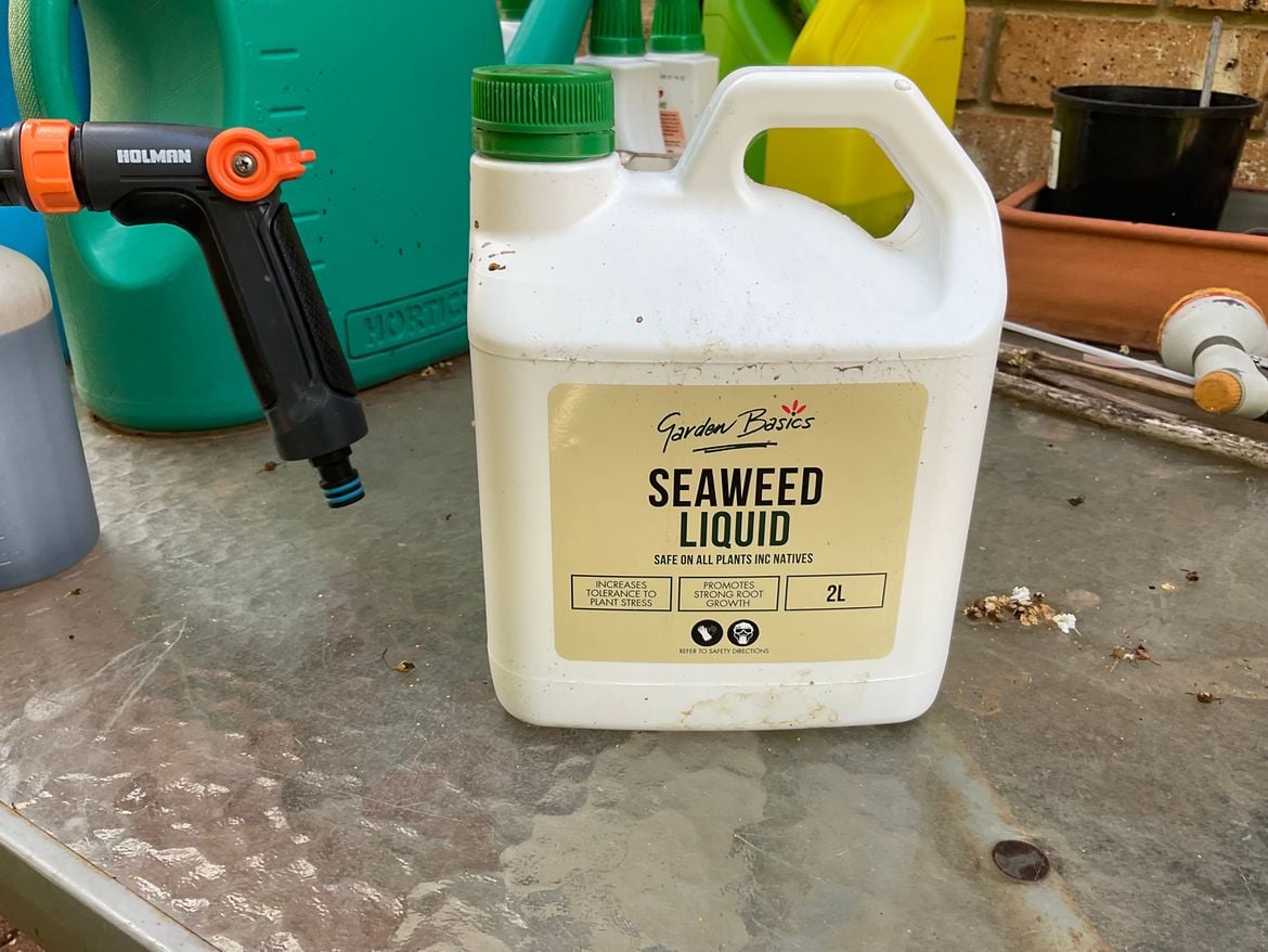 BF795598-0A24-4E5E-B94C-C51AEC367B68.jpeg BF795598-0A24-4E5E-B94C-C51AEC367B68.jpeg