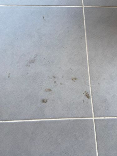 9E8BF0C9-1D25-43C1-864F-A27DCB77D864.jpeg 9E8BF0C9-1D25-43C1-864F-A27DCB77D864.jpeg