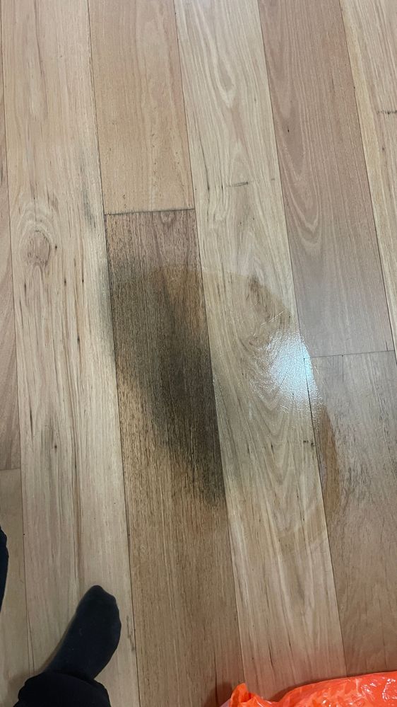 IMG_0440.jpg IMG_0440.jpg