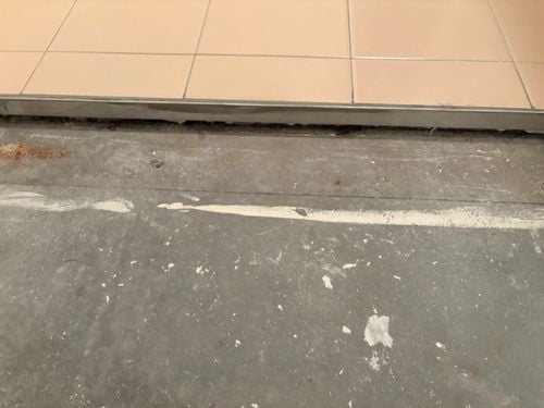 IMG_1474.jpeg IMG_1474.jpeg