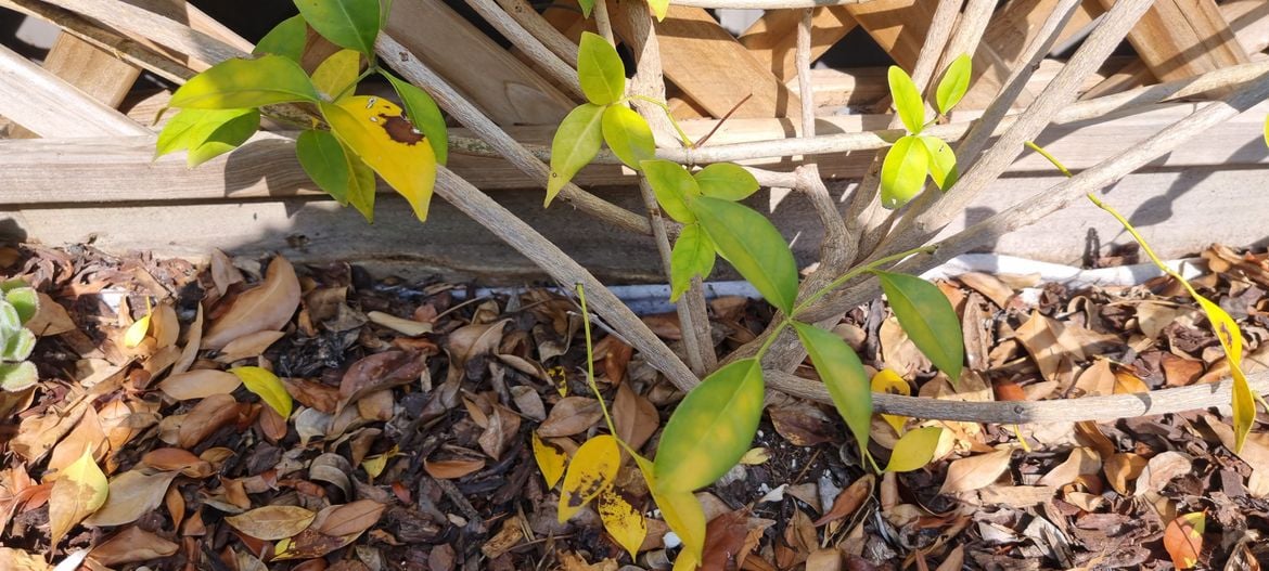 20241206_093123.jpg 20241206_093123.jpg