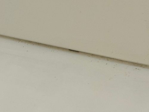 IMG_0455.jpeg IMG_0455.jpeg