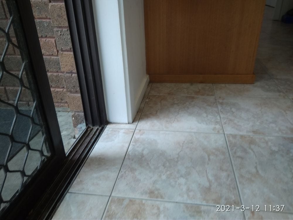 IMG_20210312_113733.jpg IMG_20210312_113733.jpg