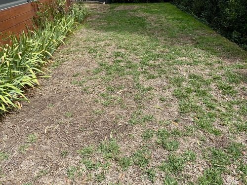 IMG_7457X.jpeg IMG_7457X.jpeg