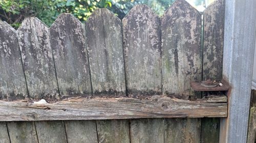 1000006239.jpg 1000006239.jpg