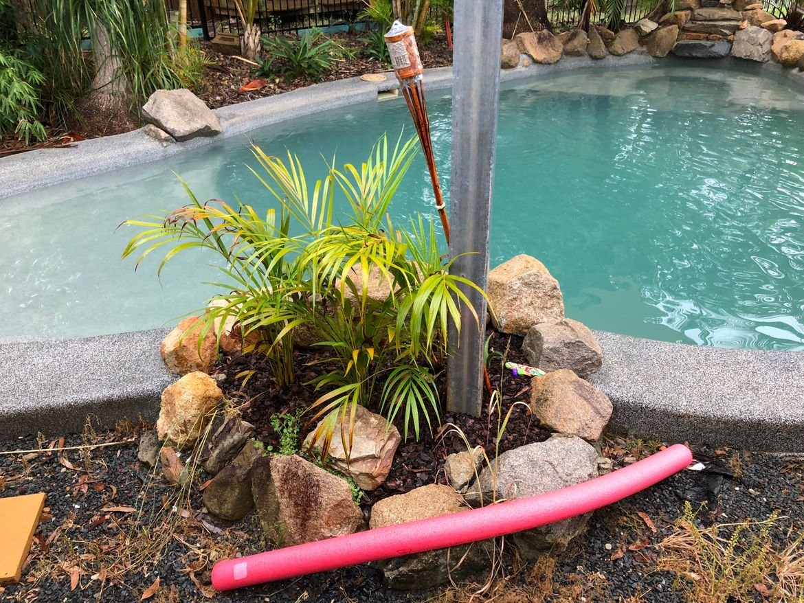 IMG_0309.jpg IMG_0309.jpg