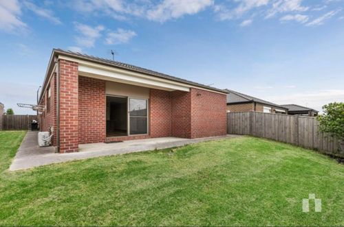 IMG_1780.jpeg IMG_1780.jpeg