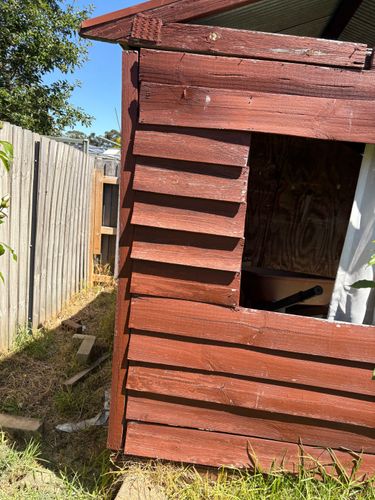 IMG_0369.jpeg IMG_0369.jpeg