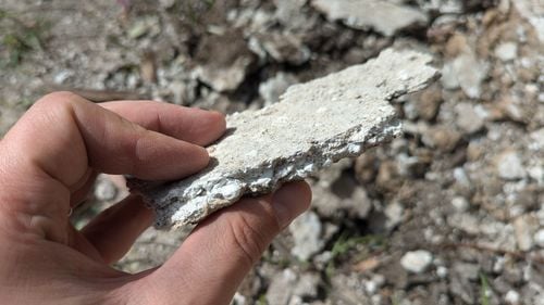 1000038173.jpg 1000038173.jpg