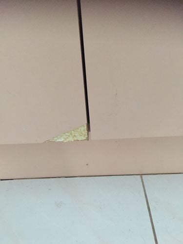 9EAC8A0F-187D-4471-975E-67735D22DDE3.jpeg 9EAC8A0F-187D-4471-975E-67735D22DDE3.jpeg