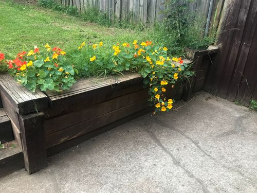 E6989776-AD25-4D47-BCCA-00AF3F2B37FE.jpeg E6989776-AD25-4D47-BCCA-00AF3F2B37FE.jpeg