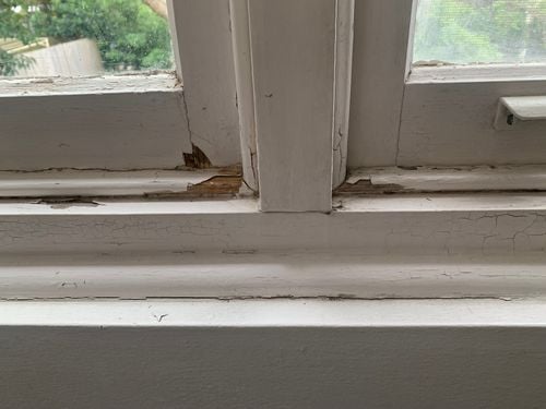 IMG_3972.jpeg IMG_3972.jpeg