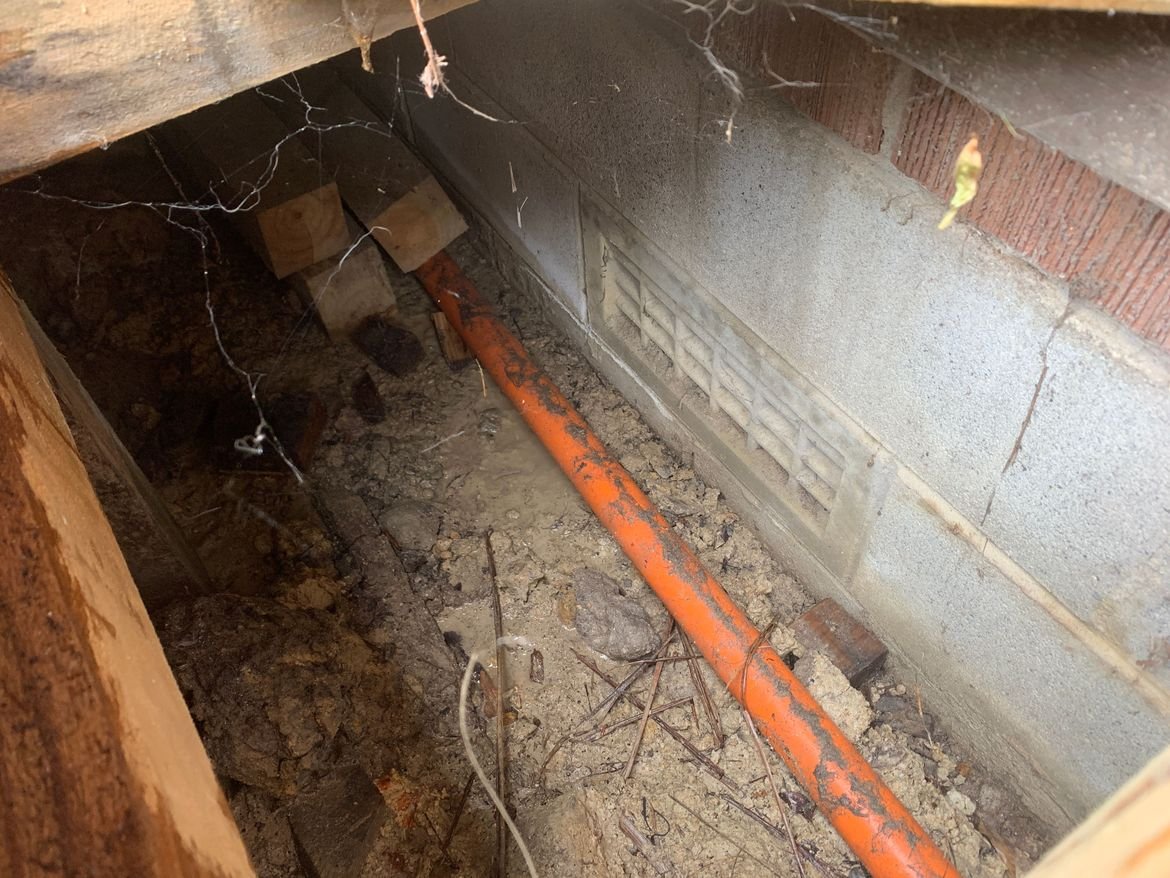 IMG_7363.JPG IMG_7363.JPG