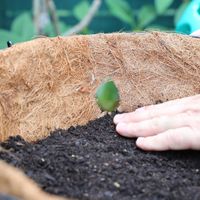 Step 3.1 Fill to just below bottom of the holes.jpg Step 3.1 Fill to just below bottom of the holes.jpg