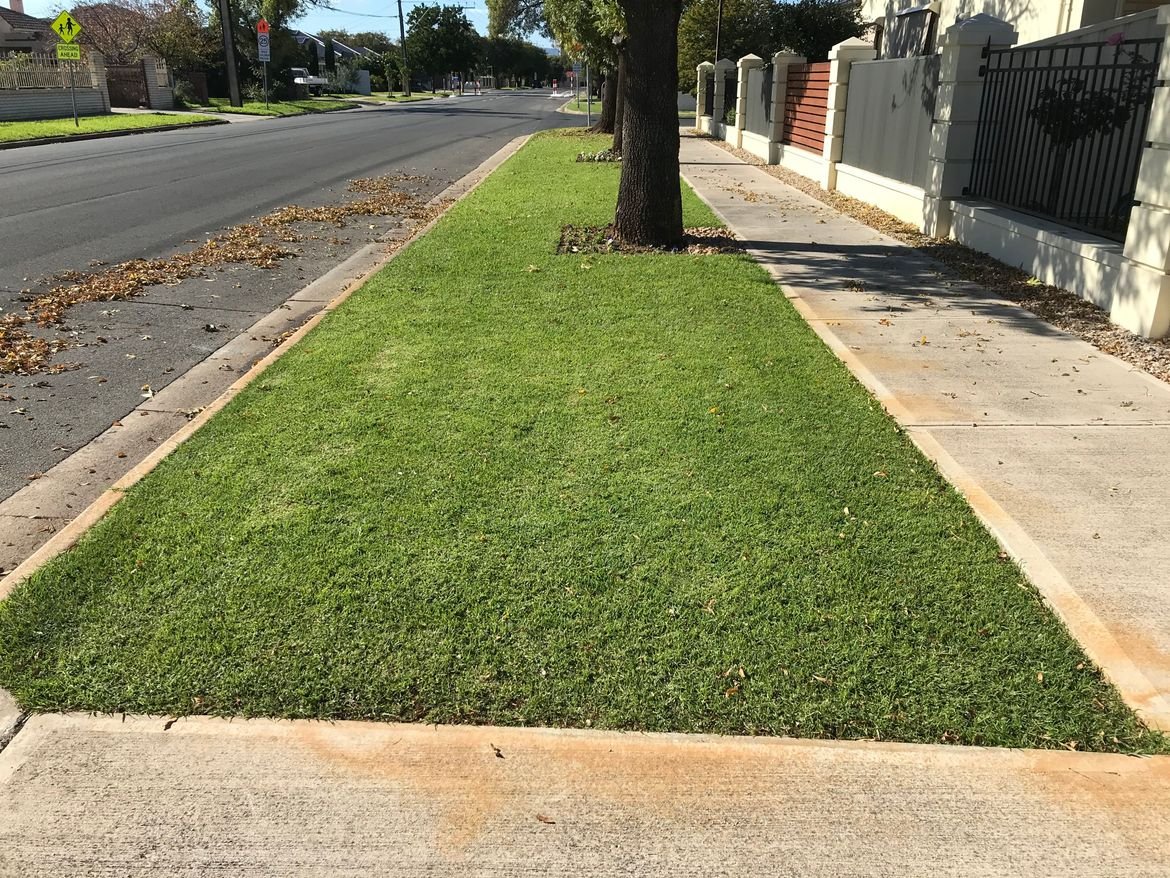 IMG_0210.jpeg IMG_0210.jpeg