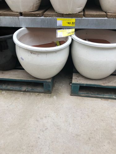 8C45A9E7-35F2-4A1D-9677-86A286F4ABF4.jpeg 8C45A9E7-35F2-4A1D-9677-86A286F4ABF4.jpeg