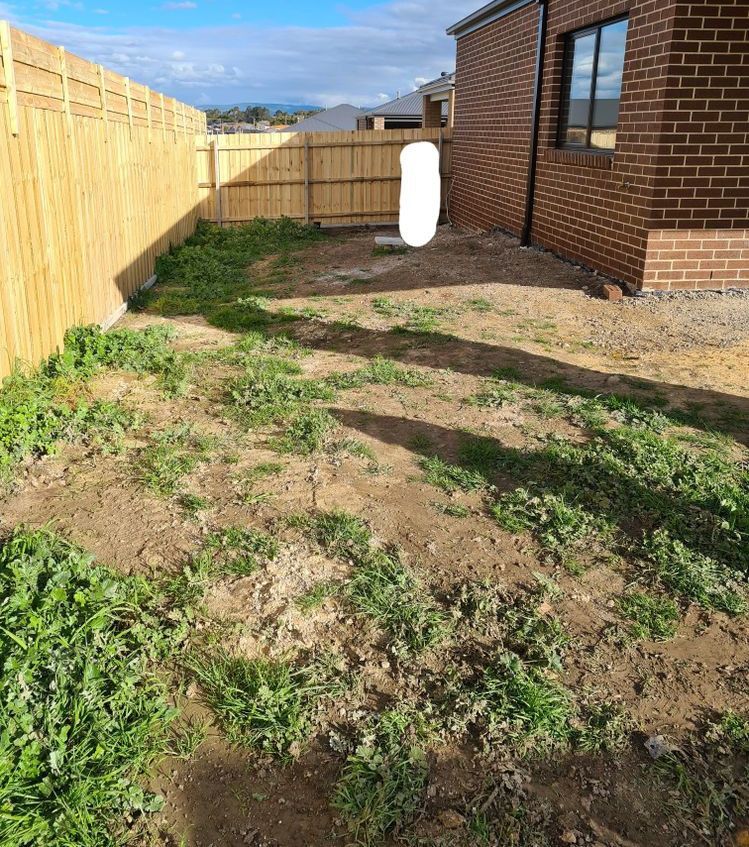 1_CRAIG.jpg 1_CRAIG.jpg