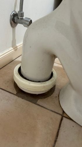 IMG_0049.jpeg IMG_0049.jpeg