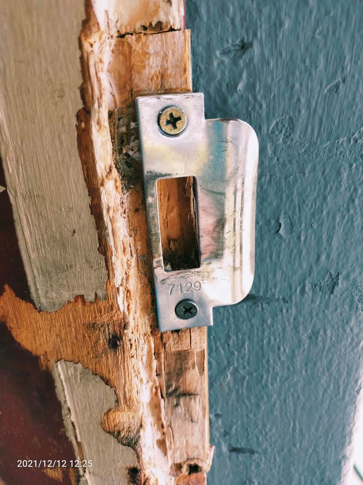 door 1.jpg door 1.jpg