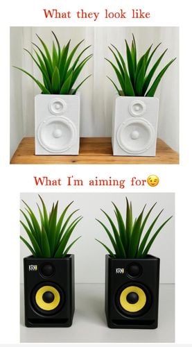 IMG_3014.jpeg IMG_3014.jpeg