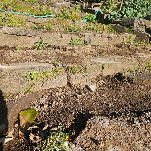 1000079972.jpg 1000079972.jpg