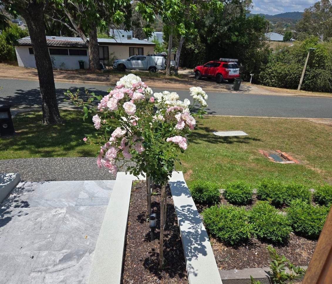 image000003 2.jpg image000003 2.jpg