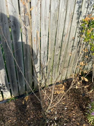 088D2F6E-2EA3-49B1-B5AF-0DCF5A08DCD2.jpeg 088D2F6E-2EA3-49B1-B5AF-0DCF5A08DCD2.jpeg