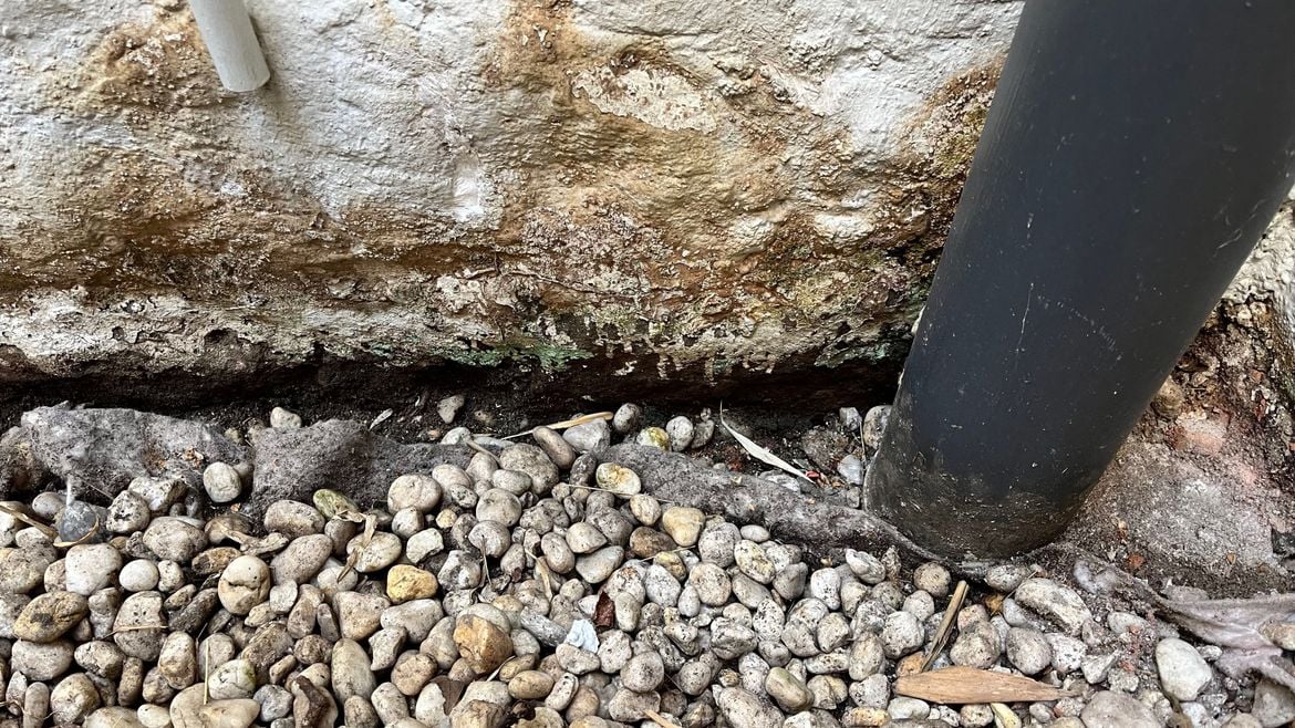 IMG_8592.jpeg IMG_8592.jpeg