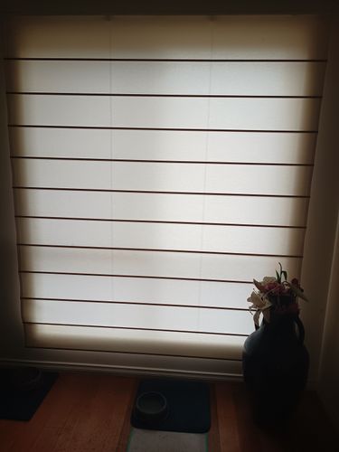 IMG_20250426_113614731.jpg IMG_20250426_113614731.jpg