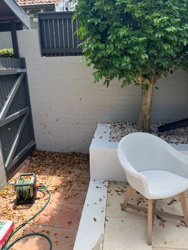 IMG_0449.jpeg IMG_0449.jpeg