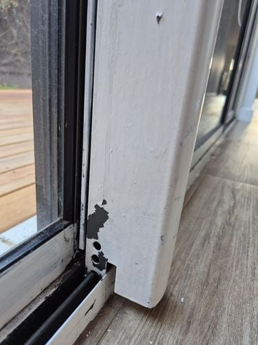 Sheddy.jpeg Sheddy.jpeg