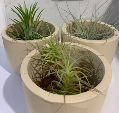 4E821340-0D3B-4330-80B4-7C3326379790.jpeg 4E821340-0D3B-4330-80B4-7C3326379790.jpeg