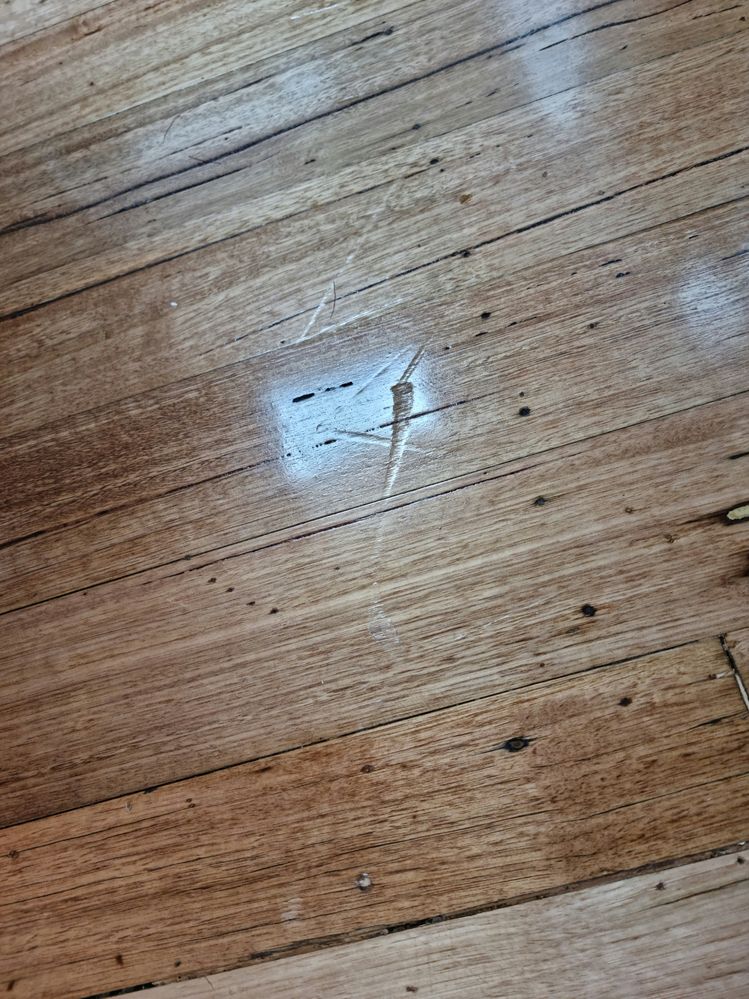 20221202_134012.jpg 20221202_134012.jpg