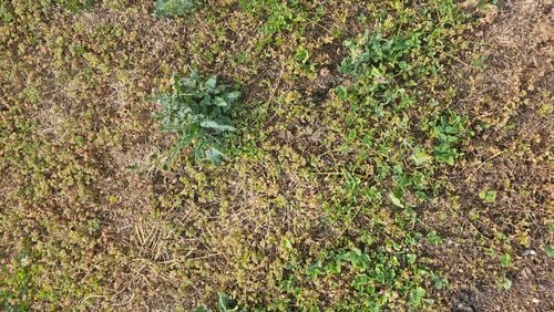 1000011491.jpg 1000011491.jpg