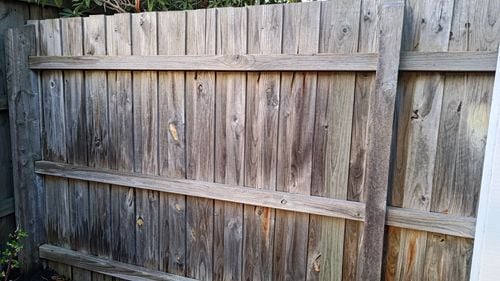 P_20240821_171550.jpg P_20240821_171550.jpg