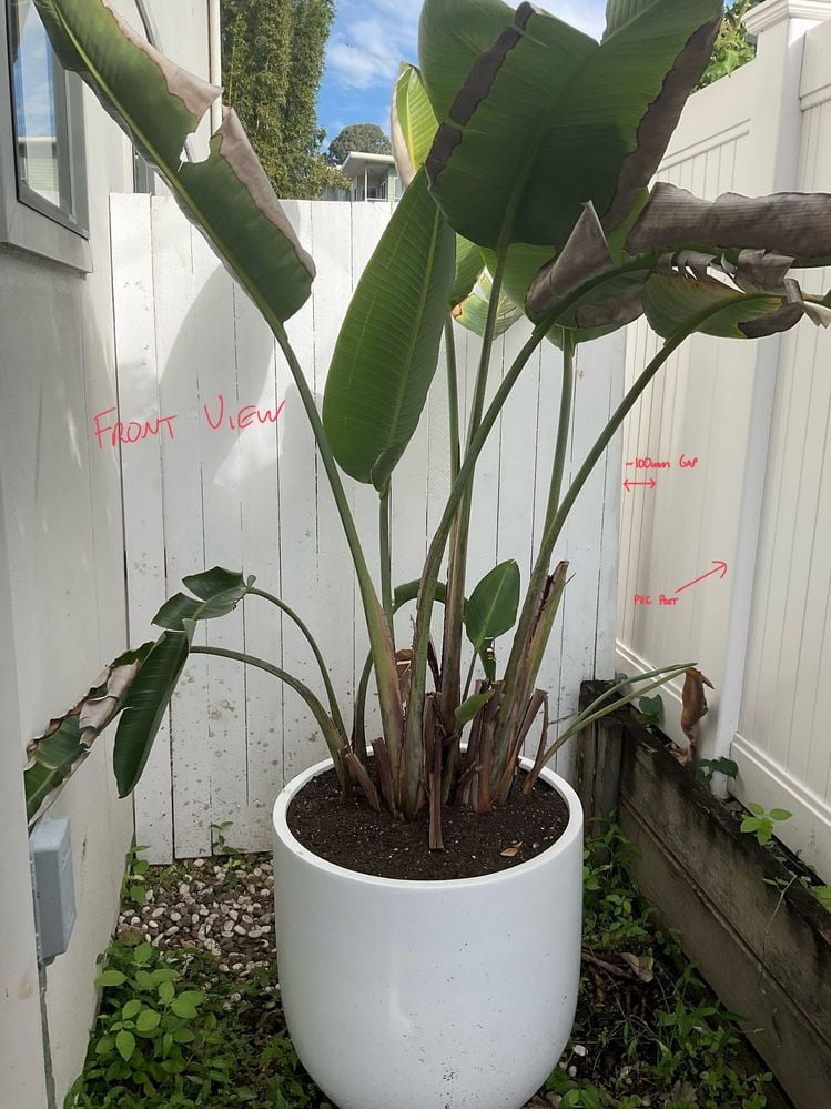 IMG_1956.jpeg IMG_1956.jpeg