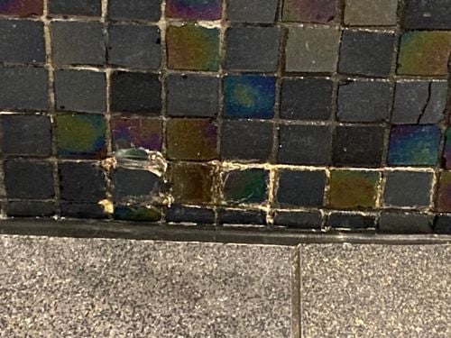 IMG_4800.jpeg IMG_4800.jpeg