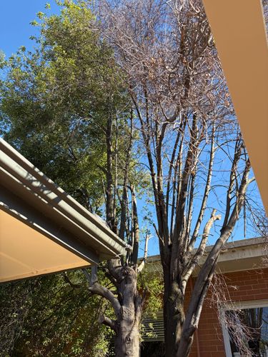 IMG_0814.jpeg IMG_0814.jpeg