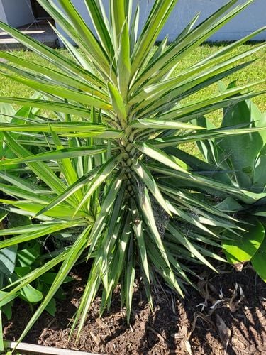 1000014042.jpg 1000014042.jpg