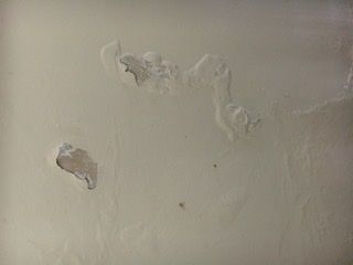 4C4EA840-07E4-4453-AE35-53F16EBA0A6B.jpeg 4C4EA840-07E4-4453-AE35-53F16EBA0A6B.jpeg