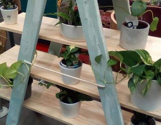 Rustic ladder stand by MitchellM.jpg Rustic ladder stand by MitchellM.jpg