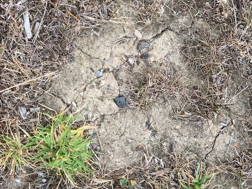 IMG_1500.jpeg IMG_1500.jpeg