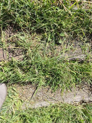 1000010264.jpg 1000010264.jpg