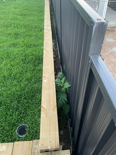 IMG_0255.jpeg IMG_0255.jpeg