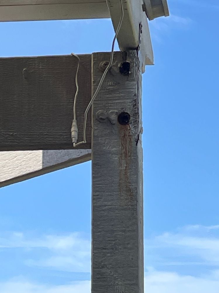 IMG_4890.jpeg IMG_4890.jpeg