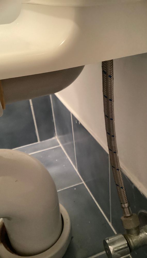 IMG_0137.jpeg IMG_0137.jpeg