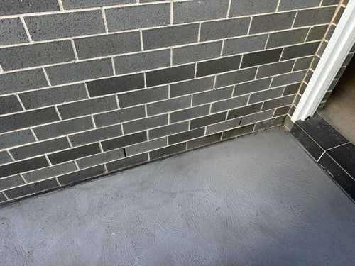 IMG_4679.jpeg IMG_4679.jpeg