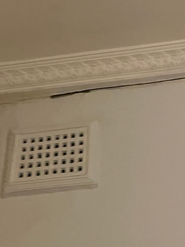 9E2969BC-0C63-467A-B36A-AD34EFAA3954.jpeg 9E2969BC-0C63-467A-B36A-AD34EFAA3954.jpeg