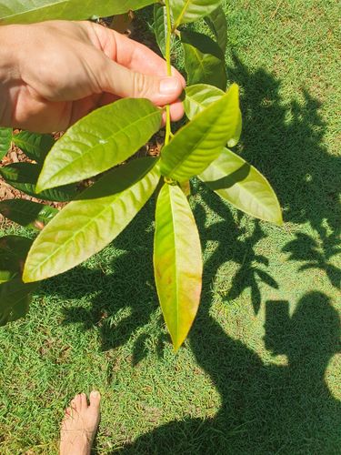 20240301_140406.jpg 20240301_140406.jpg