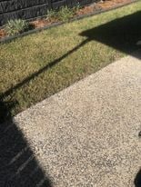 164999797_263623325317333_8284206999699013638_n.jpg 164999797_263623325317333_8284206999699013638_n.jpg